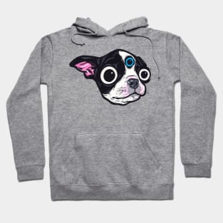 3rd Eye Boston Terrier Hoodie